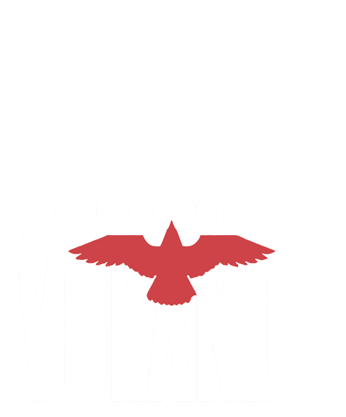 Logo 100toVolando